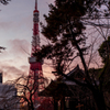 増上寺と東京タワー