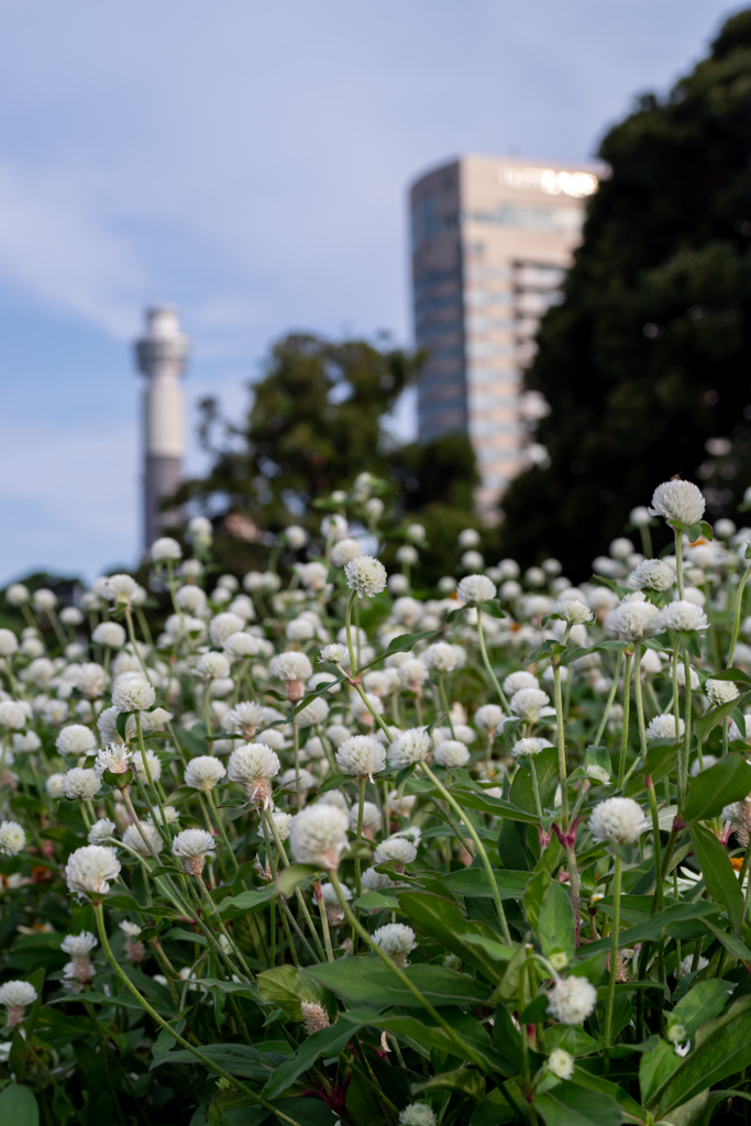 山下公園