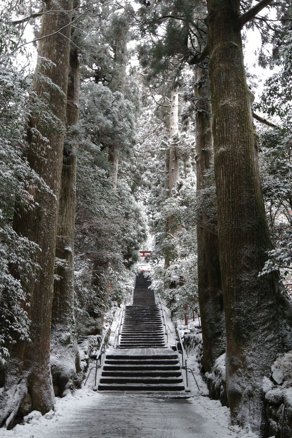 箱根神社