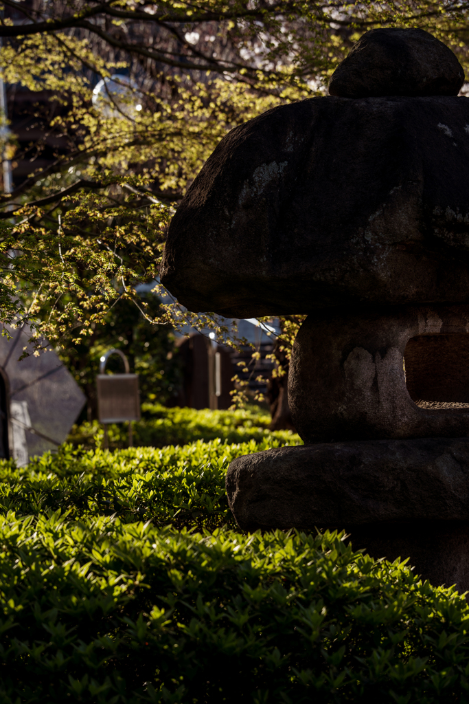増上寺