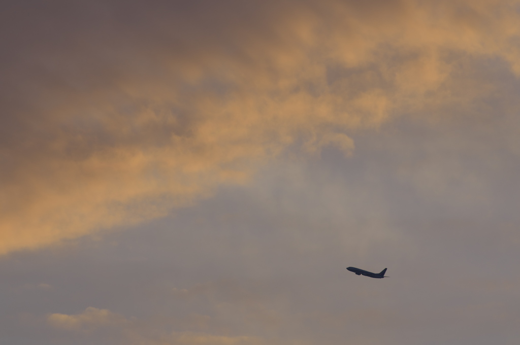 夕日を飛んで行きます