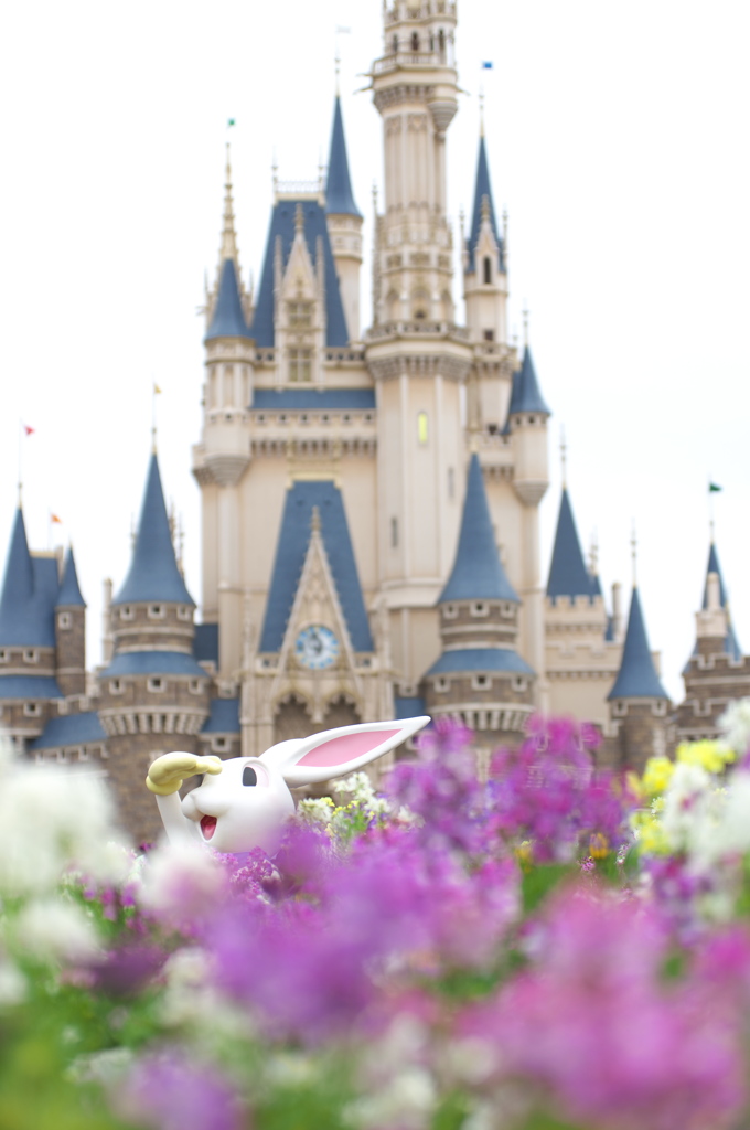 イースターフォトロケ