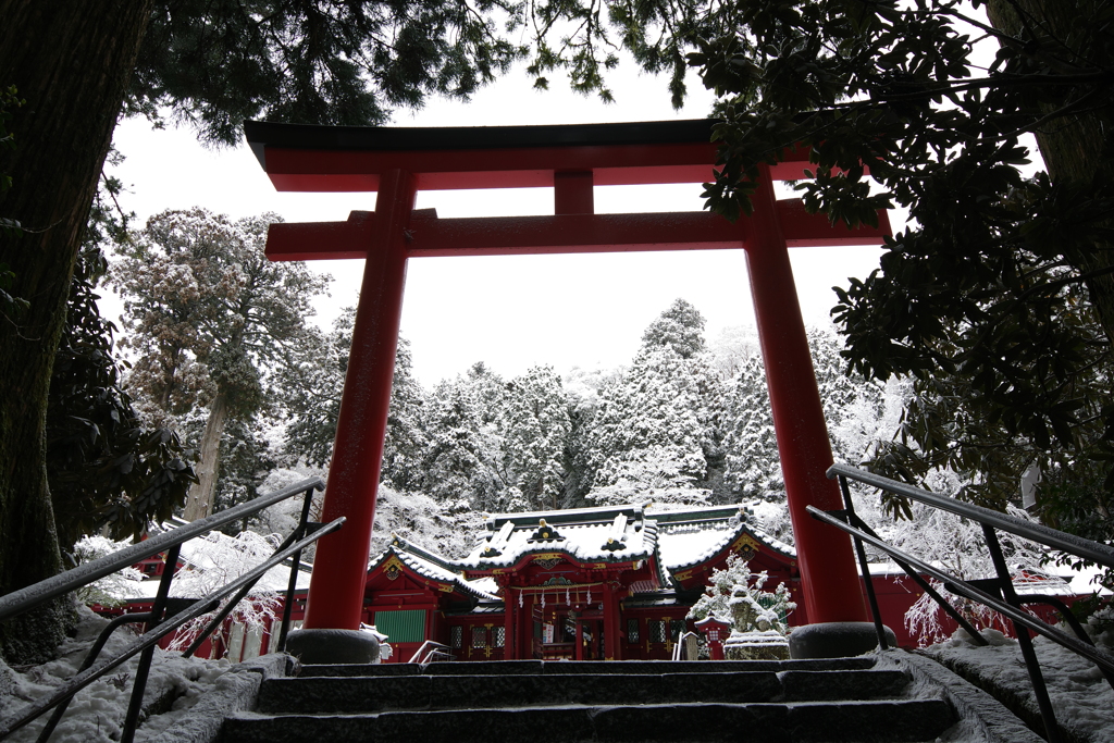 箱根神社