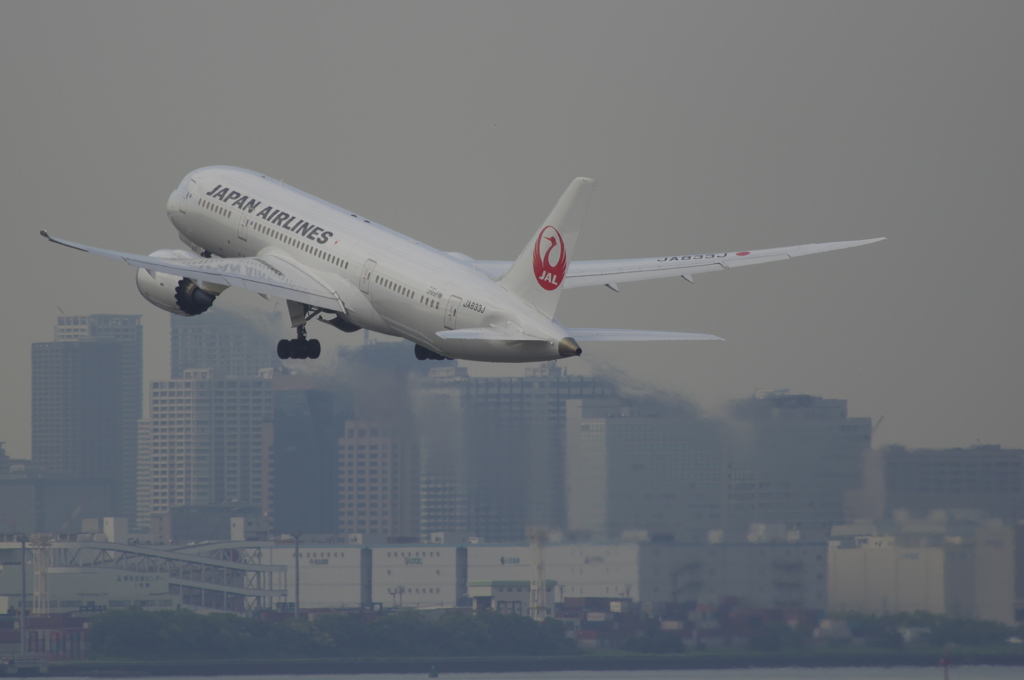 JAL・787