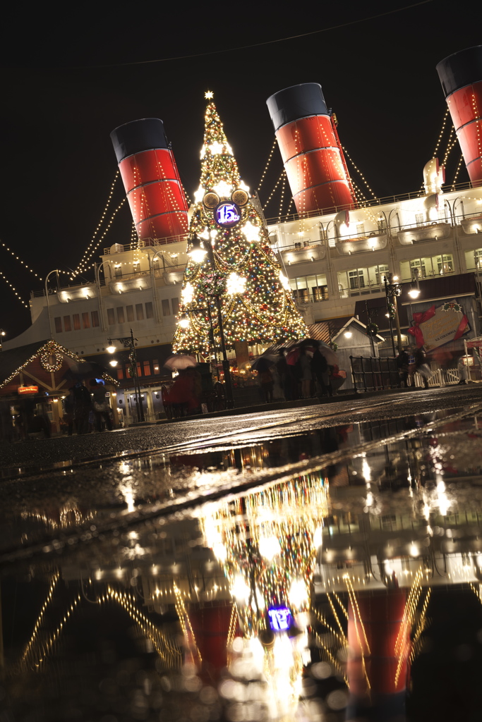 ディズニーシーのクリスマスツリー