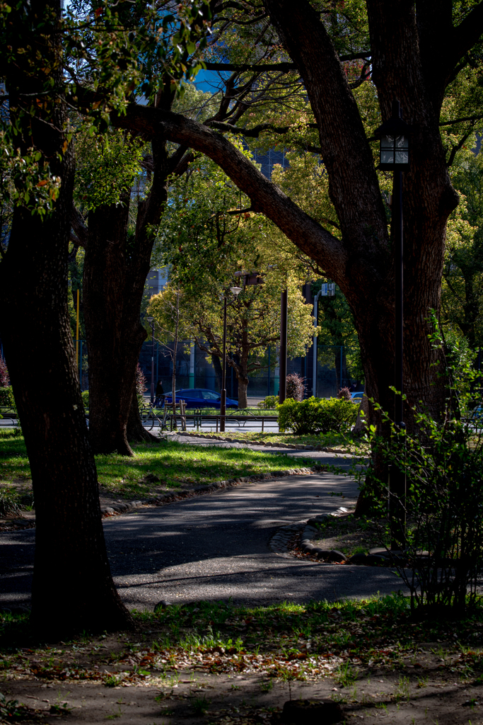 芝公園