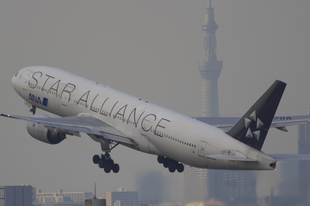 スカイツリーと