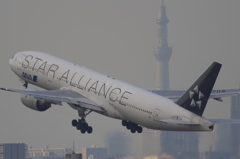 スカイツリーと