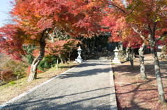 紅葉その2