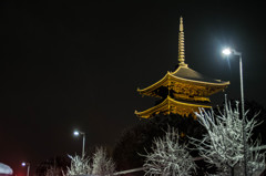 ライトアップされたお寺