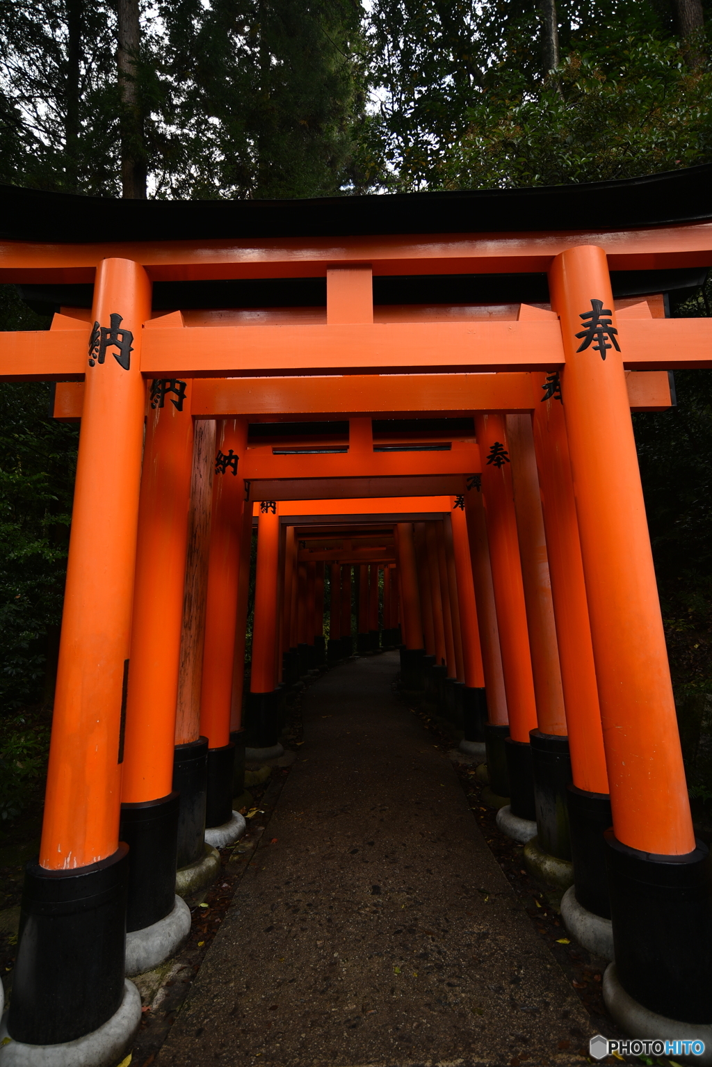 異界へと誘う？！