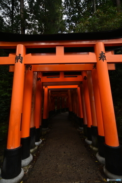 異界へと誘う？！