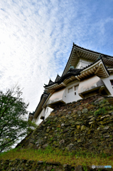 和歌山城２
