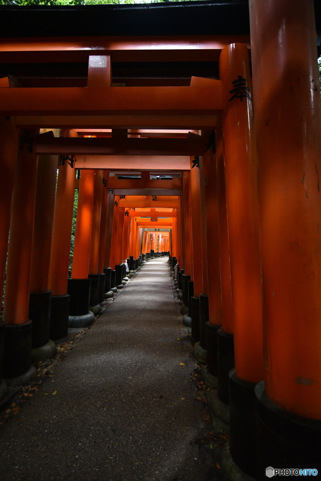 抜けた先には？