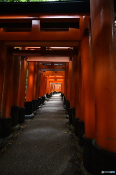 抜けた先には？