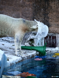 カゴあそび。