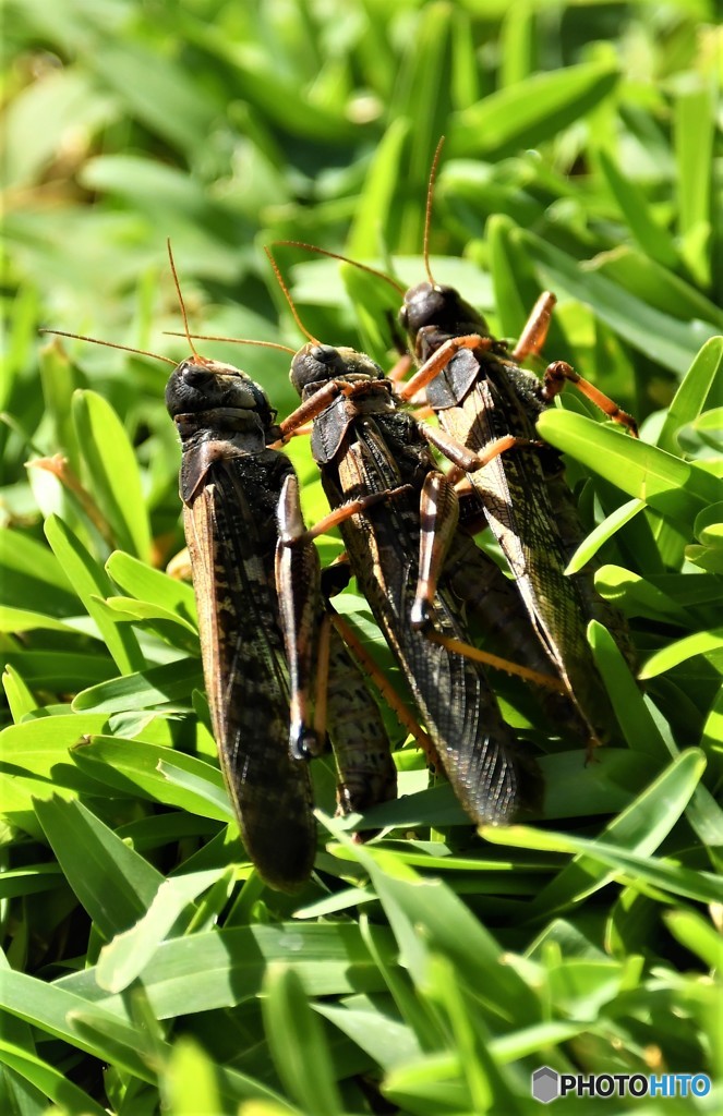 愛のカタチ。