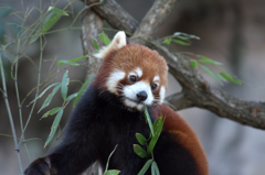 動物園