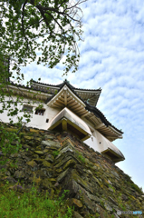 和歌山城３