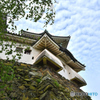 和歌山城３