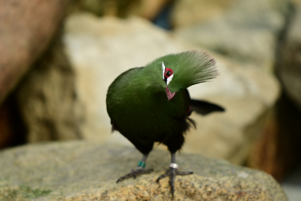 はて?