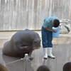 ご挨拶