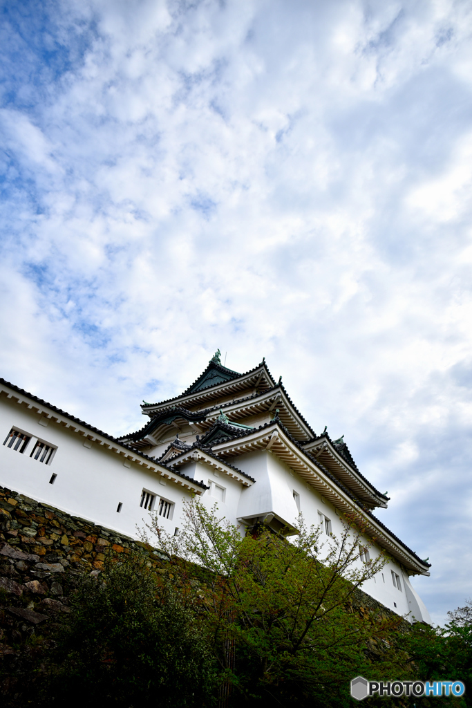 和歌山城天守閣外観