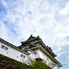 和歌山城天守閣外観