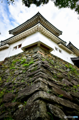 石垣。