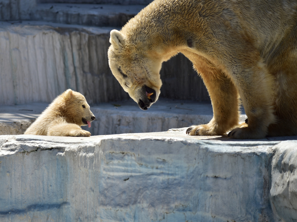 動物園