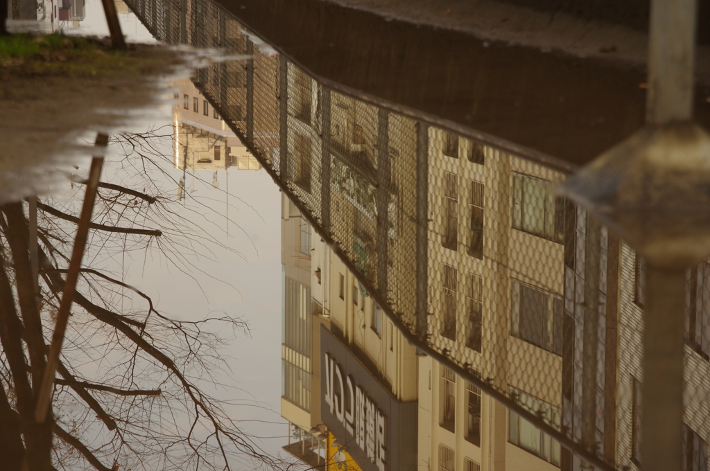 雨上がり