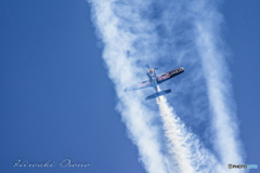 Red Bull EXTRA300S