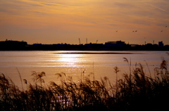 多摩川の夕焼け