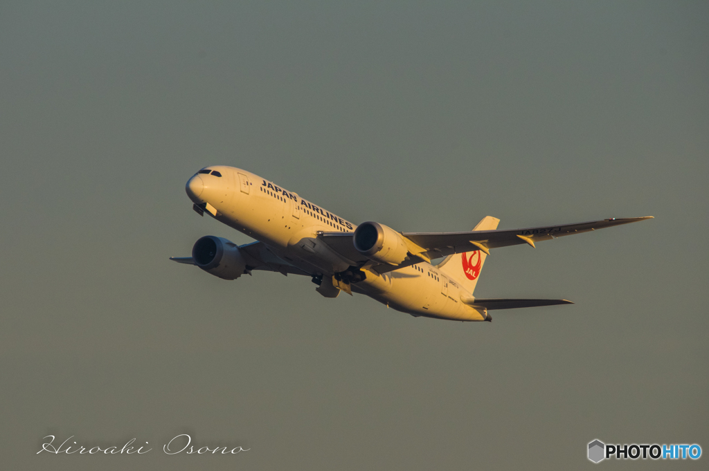 JAL B-787