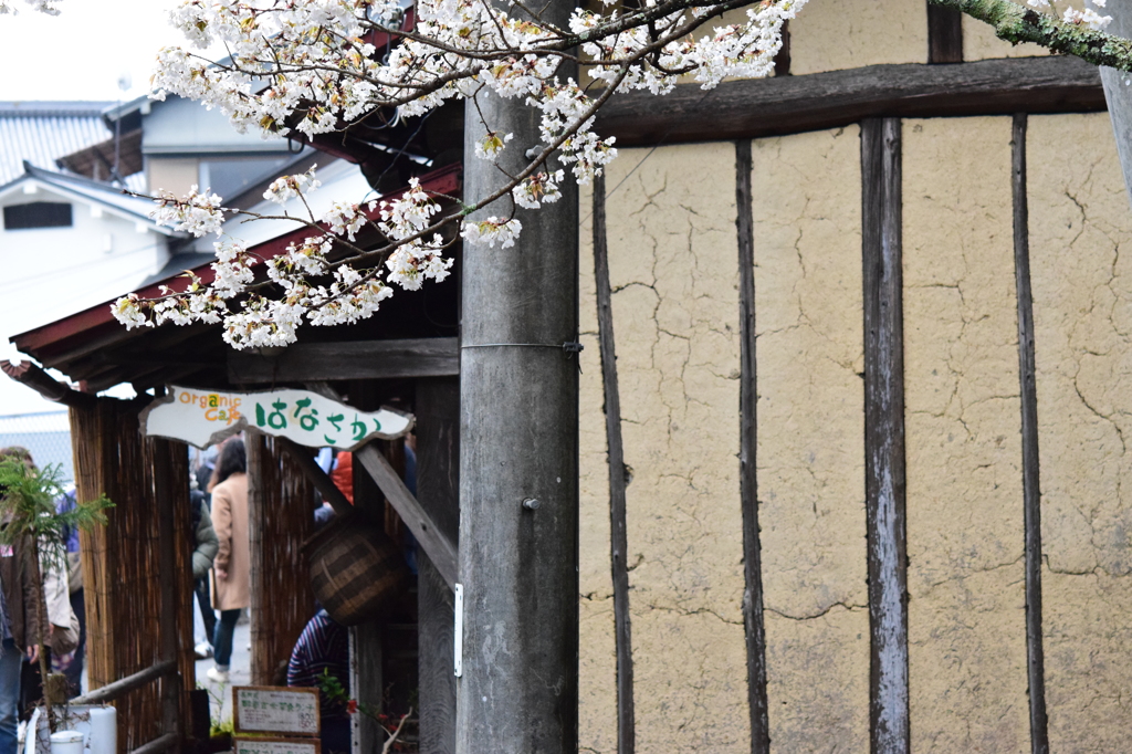 桜の町