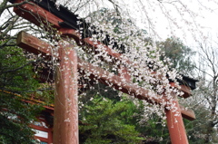 変わらない景色