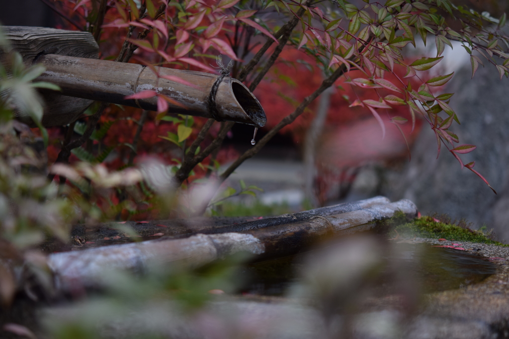 秋の水琴窟