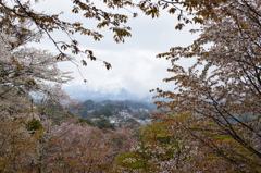上千本