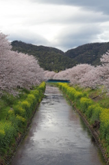 from the bridge