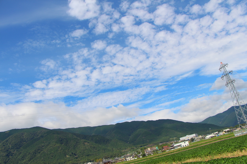 空は高く、青く