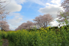 COLOURS 2