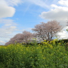 COLOURS 2