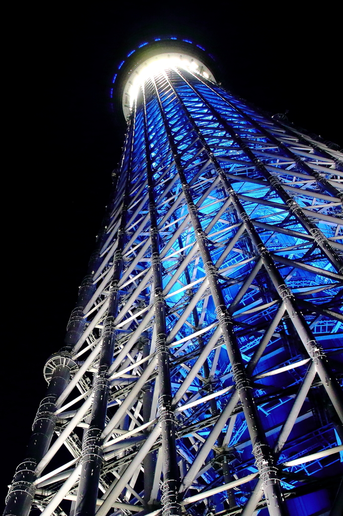 伸びる青