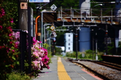 駅