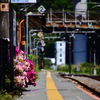 駅