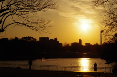 夕陽と池と距離感