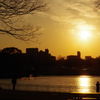 夕陽と池と距離感