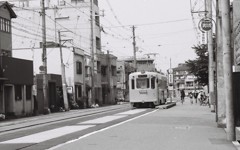 ＴＲＡＭ