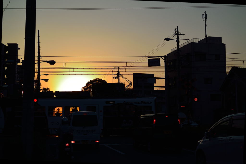 夕陽を浴びて