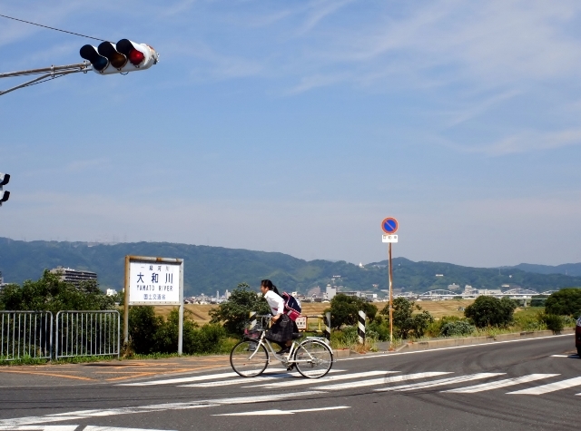 若さの証明